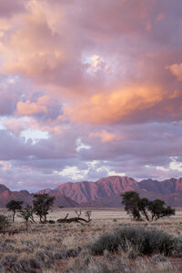 Afrika, Namibia, Sossusvlei, Landschaft mit Bergen, Bäumen und Wolken bei Sonnenuntergang - HLF000476
