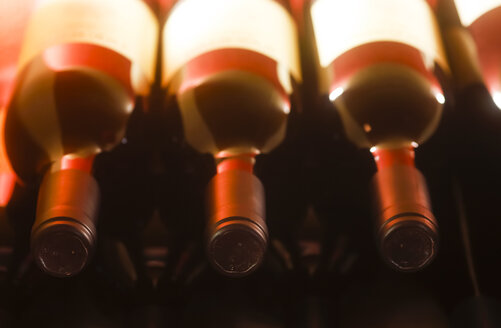 Regal mit einer Reihe von Rotweinflaschen - JTF000546