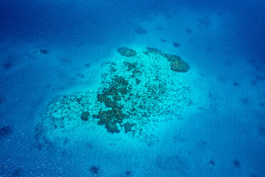 Ozeanien, Palau, Pazifischer Ozean, Korallenriff - JWAF000047