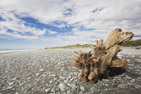 New Zealand, South Island, West Coast, Gillespies Beach, driftwood on beach stock photo