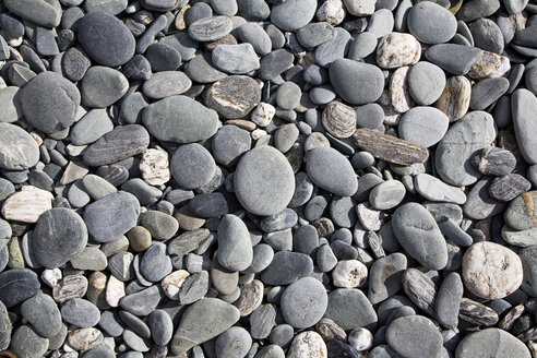 New Zealand, stony beach - GWF002776