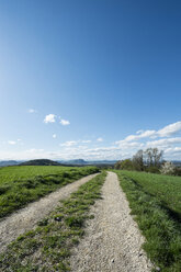 Germany, Baden-Wuerttemberg, Constance District, Hegau, Field path - ELF000954