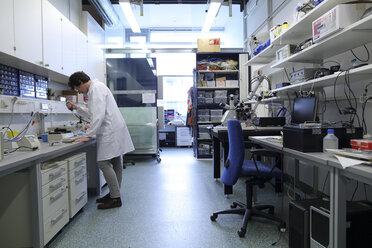 Scientist in a biological lab - SGF000673