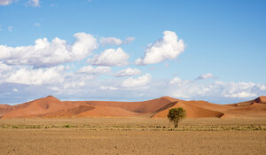 Afrika, Namibia, Sossus Vlei, Blick auf Landschaft mit einzelnem Baum und Wüstendünen - HLF000485