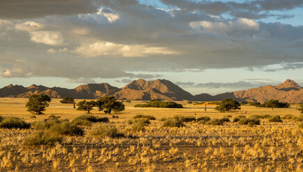 Afrika, Namibia, Sossus Vlei, Blick auf Landschaft mit Bergen im Hintergrund - HLF000489