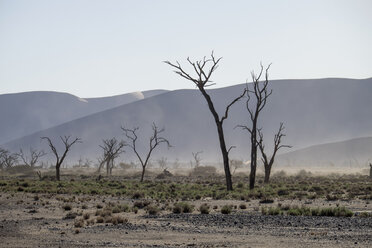 Afrika, Namibia, Sossus Vlei, abgestorbene Bäume vor Wüstendünen und Sandsturm - HLF000491