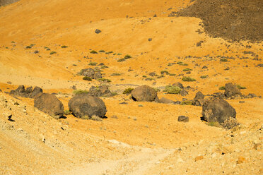 Spanien, Kanarische Inseln, Teneriffa, Pico del Teide im Teide-Nationalpark, Lavagestein, Huevos del Teide, Teide-Eier - WG000281