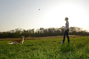 Junge Frau spielt mit Golden Retriever auf einer Wiese - BFRF000419