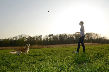 Young woman playing with Golden Retriever on meadow - BFRF000419
