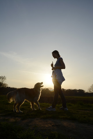 Junge Frau trainiert Golden Retriever auf einer Wiese bei Sonnenuntergang, lizenzfreies Stockfoto