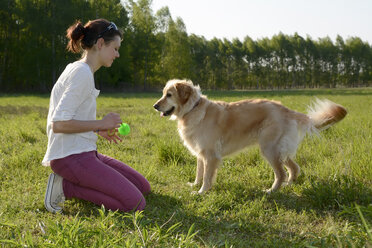 Junge Frau spielt mit Golden Retriever auf einer Wiese - BFRF000423