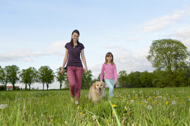 Junge Frau und kleines Mädchen gehen mit Golden Retriever auf einer Wiese spazieren - BFRF000437