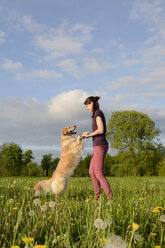 Junge Frau spielt mit Golden Retriever auf einer Wiese - BFRF000439