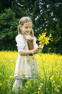 Kleines Mädchen in einem Kleid im Landhausstil sammelt Butterblumen, Ranunkeln, auf einer Wiese - SARF000594