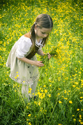 Kleines Mädchen im Landhauskleid sammelt Butterblumen, Ranunkeln auf einer Wiese - SARF000597