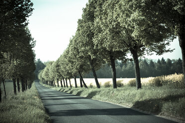 Germany, Baden-Wuerttemberg, Einsiedel near Tuebingen, Avenue in spring - LVF001231