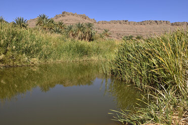 Algerien, Tassili N'Ajjer National Park, Iherir, Wasser in einem Guelta in der Idaran-Schlucht - ES001098