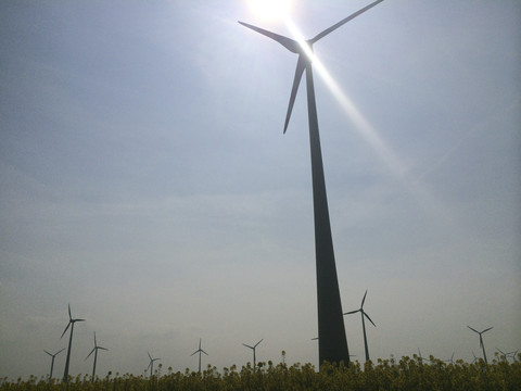 Windkraftanlage auf einem Feld in Brandenburg, Deutschland, lizenzfreies Stockfoto