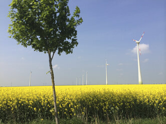 Windkraftanlage auf einem Rapsfeld in Brandenburg, Deutschland - FLF000420