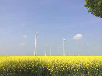 Wind turbine on a rape field in Brandenburg, Germany - FLF000421