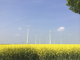 Windkraftanlage auf einem Rapsfeld in Brandenburg, Deutschland - FLF000421