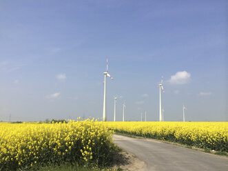 Windkraftanlage auf einem Rapsfeld in Brandenburg, Deutschland - FLF000422