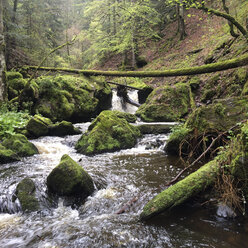 Ravennaschlucht, Breisgau, Schwarzwald, Deutschland - DRF000690