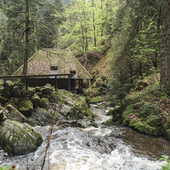 Alte Wassermühle, Ravennaschlucht, Breisgau-Hochschwarzwald, Deutschland - DRF000685