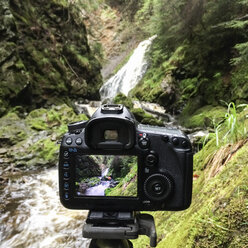 Ravennaschlucht, Breisgau, Schwarzwald, Deutschland - DRF000678