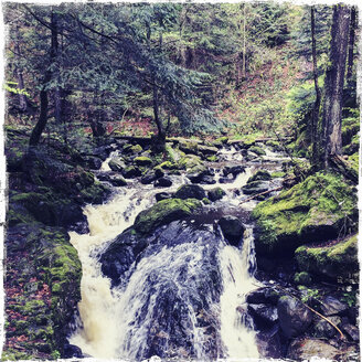 Ravennaschlucht, Breisgau, Schwarzwald, Deutschland - DRF000680