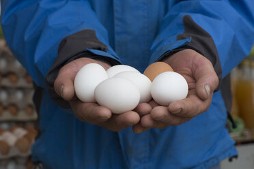 Farmer's hands holding organic eggs - SGF000660