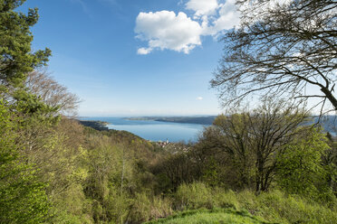 Deutschland, Baden-Wurttenberg, Bodenseekreis, Blick vom Haldenhof auf den Bodensee - ELF000971