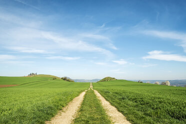 Deutschland, Baden Württemberg, Hegau Landschaft, Feldweg zum Mögdeberg - ELF000985