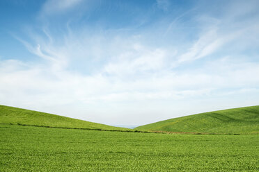 Germany, Baden Wuerttemberg, Constance district, Fields and hills - ELF000987