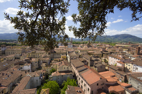Italien, Toskana, Provinz Lucca, Lucca, Blick vom Torre Guinigi zum Dom - YFF000138