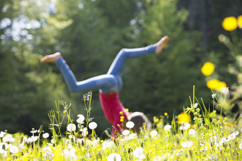 Teenager-Mädchen macht Handstand auf einer Blumenwiese, lizenzfreies Stockfoto