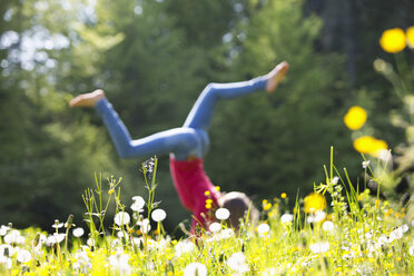 Teenage girl doing handstand on a flower meadow - WWF003304