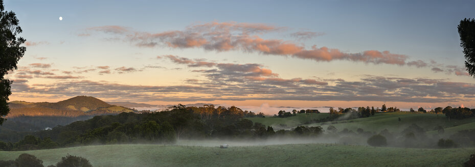 Australien, New South Wales, Dorrigo, Wiesen im Dorrigo National Park in der Morgendämmerung - SHF001293