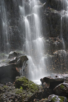 Australien, New South Wales, Dorrigo, Wasserfall und Felsen im Dorrigo National Park - SHF001299