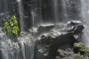 Australien, New South Wales, Dorrigo, Wasserfall und Felsen im Dorrigo National Park - SHF001300