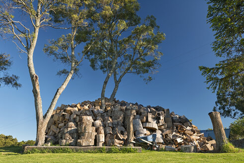 Australien, New South Wales, Dorrigo, Brennholzstapel unter Bäumen - SH001306