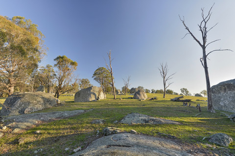 Australien, New South Wales, Arding, Totholz, Eukalyptusbäume und Felsbrocken in der Morgensonne, lizenzfreies Stockfoto