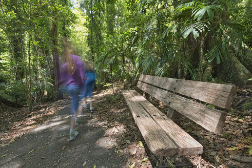 Australien, New South Wales, Dorrigo, Bank und Kinder beim Wandern im Regenwald des Dorrigo National Park - SHF001333