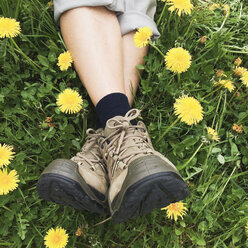 Deutschland, Eifel, Wanderer, Frau in Blumenwiese, Löwenzahn (Taraxacum), Frühling - GWF002758