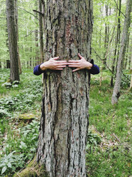 Germany, North Rhine-Westphalia Eifel, woman hugging tree - GWF002741