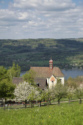 Schweiz, Thurgau, Klingenzell, Blick vom Seeruecken zur Wallfahrtskapelle vor dem Untersee mit Halbinsel Hoeri - ELF000996