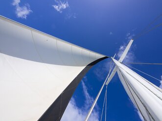 Sail and rig of a sailing yacht - AMF002245