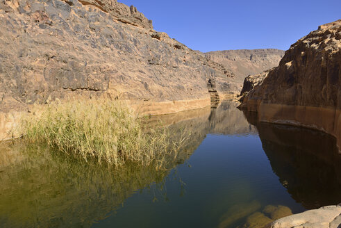 Africa, Algeria, Tassili N'Ajjer National Park, Iherir, Water in a guelta at Idaran Canyon - ES001107