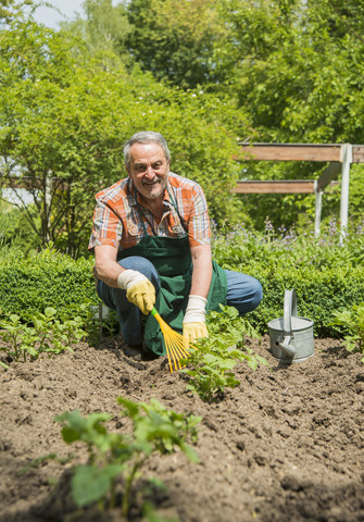 Deutschland, Hessen, Lampertheim, Senior-Gärtner bei der Arbeit, lizenzfreies Stockfoto