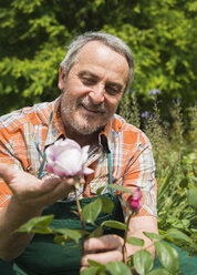 Deutschland, Hessen, Lampertheim, Porträt eines Obergärtners beim Betrachten der Rosenblüte - UUF000584